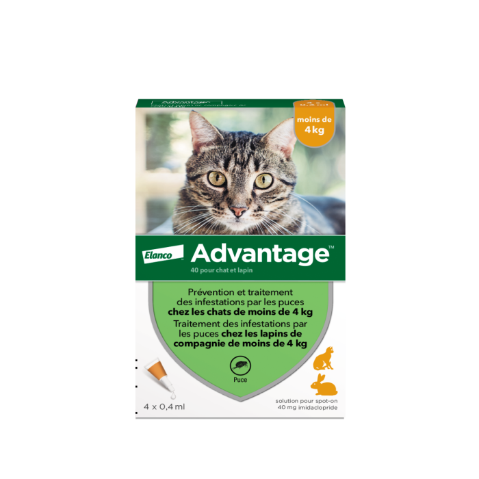 Advantage Kat 4 Pip - Spot-on behandeling Kat - Anti-parasiet Advantage | Pharmapets