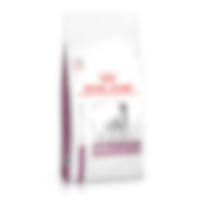 Royal Canin Mobility Support pour chien 7kg