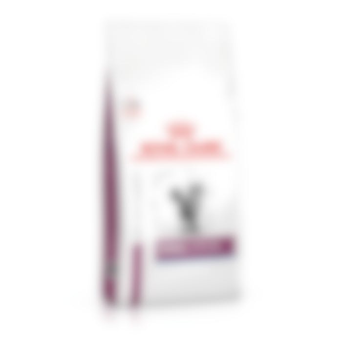 Royal Canin Renal Special pour chat