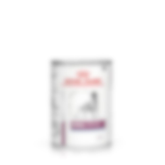 Royal Canin Renal Special pour chien 12x410g