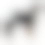 Trixie Couches Pour Chiens Femelles Xl 12 Pcs - Tour de Taille 40-58 cm