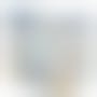 Trixie Couches Pour Chiens Femelles M-l 12 Pcs - Tour de Taille 36-52 cm