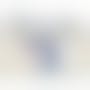 Couche Culotte pour Femelles XL Tour de taille: 40 - 58 cm