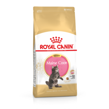 Royal Canin Maine Coon Chaton Croquettes Pour Chat 4kg