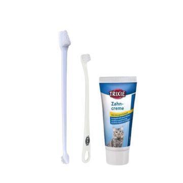 Brosse a dent et dentifrice pour chat