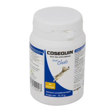 Anti Douleur Pour Chat Quel Antidouleur Pour Chat Choisir Vetostore Anti Douleur Pour Chat Quel Antidouleur Pour Chat Choisir Vetostore