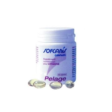 SOFCANIS PELAGE