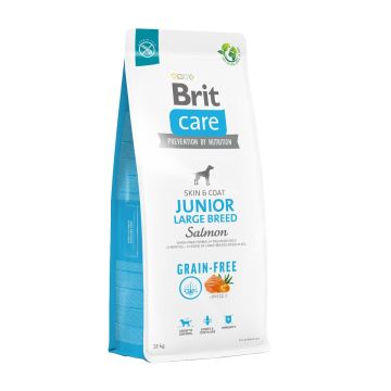 Brit Grain Free Junior au Saumon pour Chien 12kg