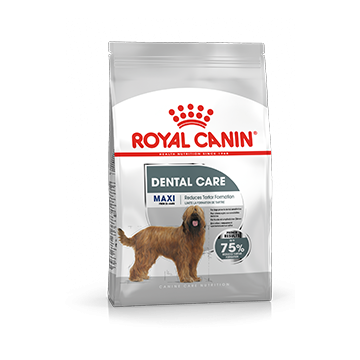 Royal Canin Dental Care Maxi Hond 9kg