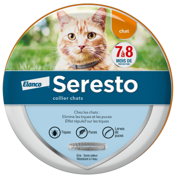 Milbactor Cat, Vermifugation, Commande - For as low as €10.94