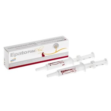 Epate Pâte 2 Seringues de 15ml