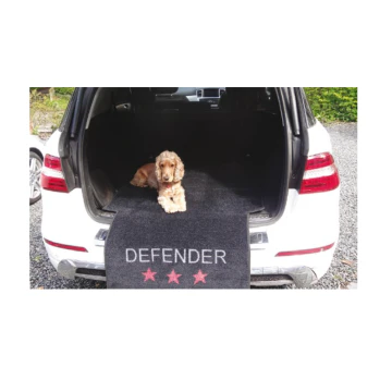 Tapis de protection coffre de voiture