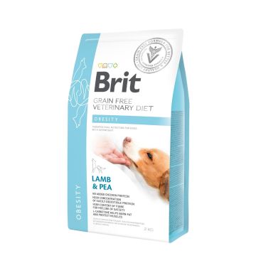 Brit Vet Diet Obesity pour Chien