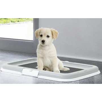 Set d'éducation pour chiot
