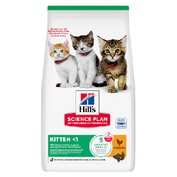 Hill's Science Plan Kitten Kattenvoer Kip 7kg