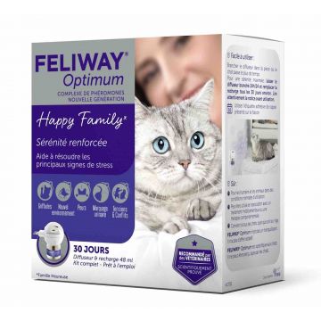 Prostration Du Chat Pourquoi Mon Chat Est Il Prostre Vetostore