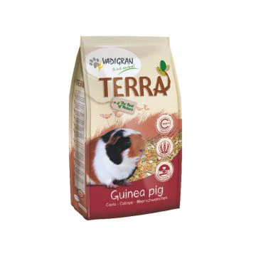 Terra Cavia