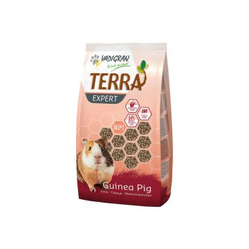 Terra Expert Timotee Cavia