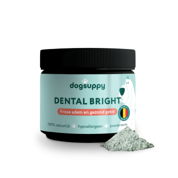 DogSuppy Dental Bright Supplement voor Honden