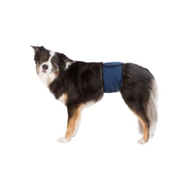 Couche lavable et Protections pour chien mâle