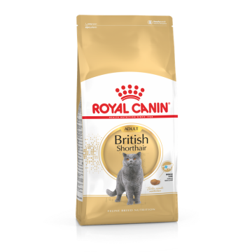 Royal Canin British Shorthair pour chat 10kg