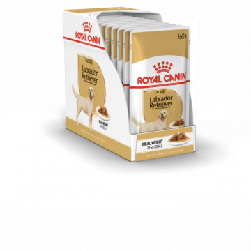 Royal Canin Labrador Retriever 10x pour Chien 140g