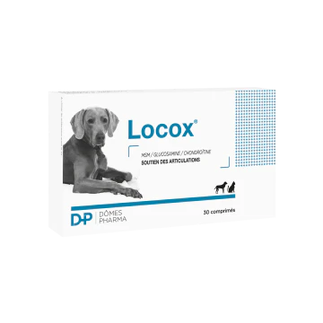 Locox 30 tabletten
