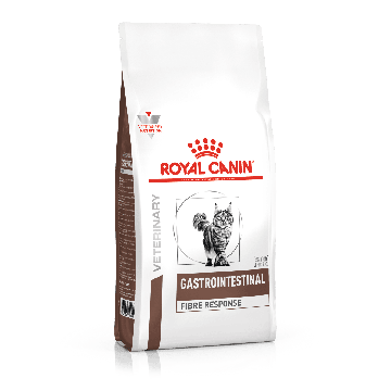 Chat Constipe Comment Traiter La Constipation De Votre Chat Vetostore