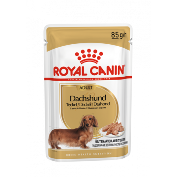 Royal Canin Dachshund Adult Natvoer Hond 12x 85g