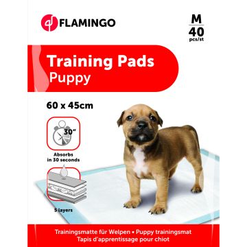 Tapis d'Apprentissage Pady M 40pcs 60x45cm
