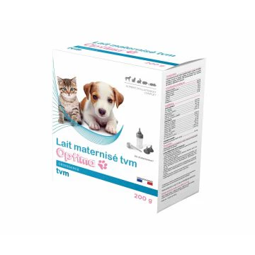 Donner Du Lait A Son Chat Une Pratique Nocive Nos Conseils Veterinaires