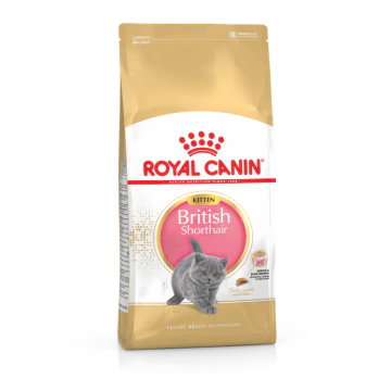 Royal Canin British Shorthair Croquettes pour Chaton 2kg