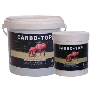 CARBO-TOP