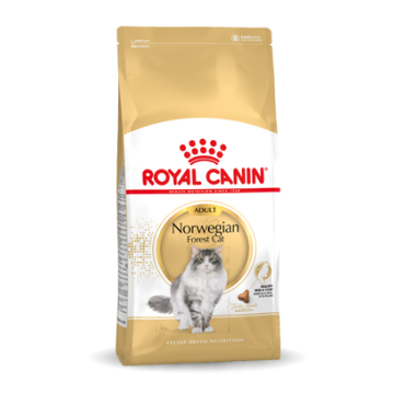 Royal Canin Norwegian Forest Cat Adult Kat 10kg