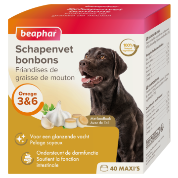 Beaphar Friandises De Graisse De Mouton Ail pour Chien 245g