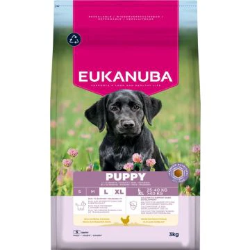 Eukanuba Puppy Large Breed Croquettes pour Chiot aux Poulet