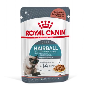 Royal Canin Hairball Care en Sauce pour Chat 12x85g