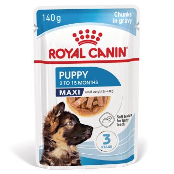 Royal Canin Shn Maxi Puppy 10x140g