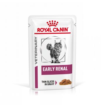 Royal Canin Renal Nourriture Humide pour Chat 12x85g