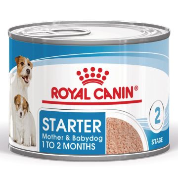 Royal Canin Starter Mother & Babydog Mousse Hondenvoer 12x190g