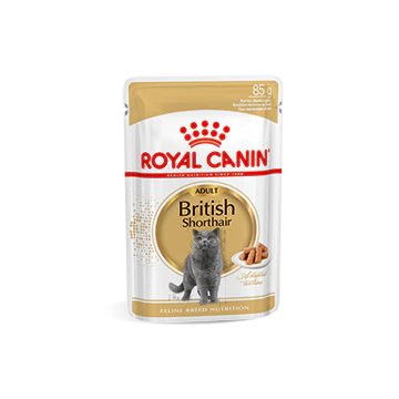 Royal Canin British Shorthair Adult Natvoer Kat 48x85g