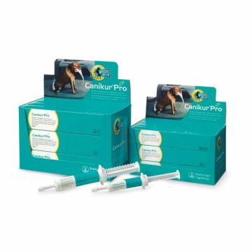 Canikur Pro - Display 12 Spuiten Met 30ml