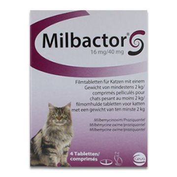 Milbactor Grote Kat - 4 Tabletten