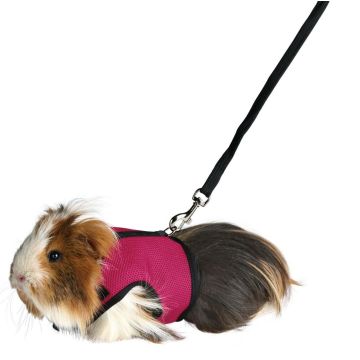 Trixie Harnais Soft Avec Laisse Pour Cochon D'inde 18 - 25 Cm