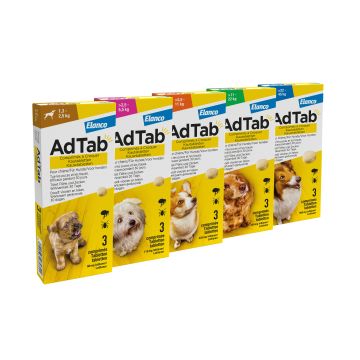 ADTAB DOG