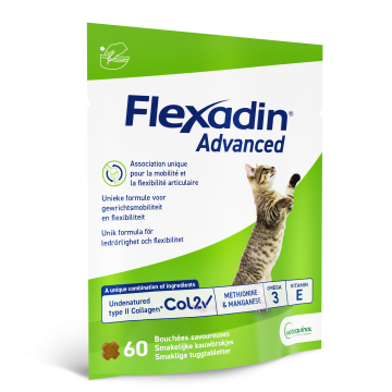 Flexadin Advanced Chat 60 bouchées