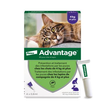 Advantage 80 chat et lapin de plus de 4 kg
