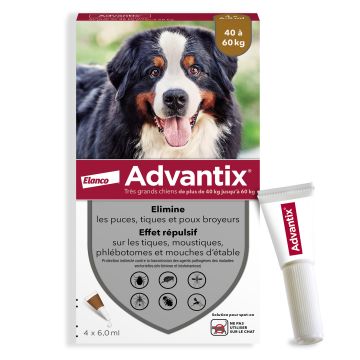 Advantix grand chien 25-40Kg