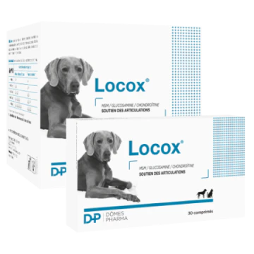 https://pharmapets.imgix.net/media/catalog/product/cache/2cc48bd4269cb761a1ccbaa05288eba3/3/c/3c4759e1d73f1634f4063d80cdf358fb51cf467d7a23bc55de435ff7127d7fa5.jpeg