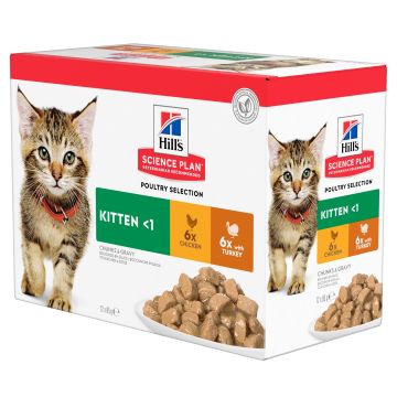 Hill’s Science Plan Kitten Poultry Selection Multipack Kip 12x85g